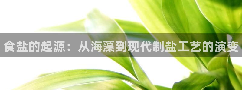 威九国际留学