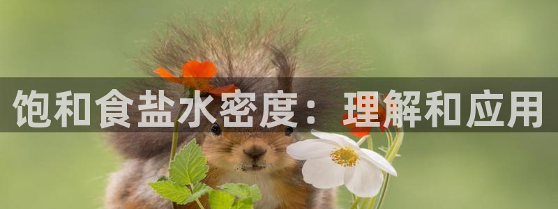 威九国际地址