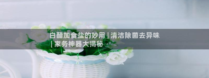 威九国际v9