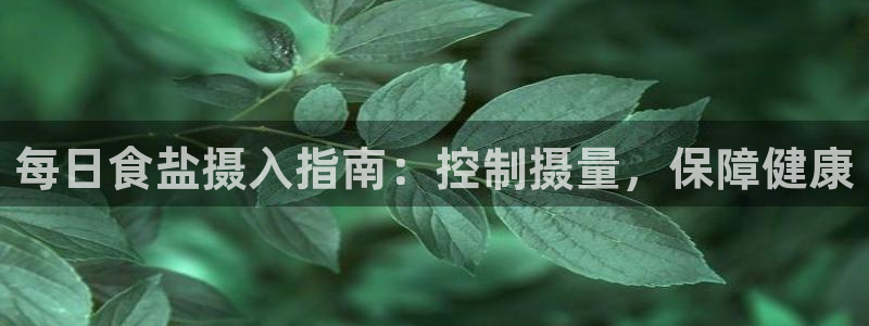 威九国际APP客服