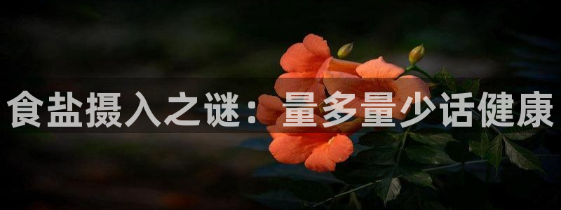 威九国际78