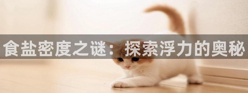 威九国际v96bet下载