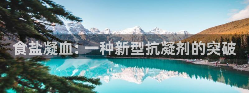 威九国际空降服务女演员名字