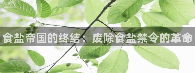 威九国际78m光伏巨头隆基绿能esg成色