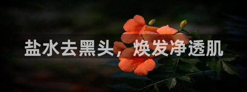 威九国际app哪个地方