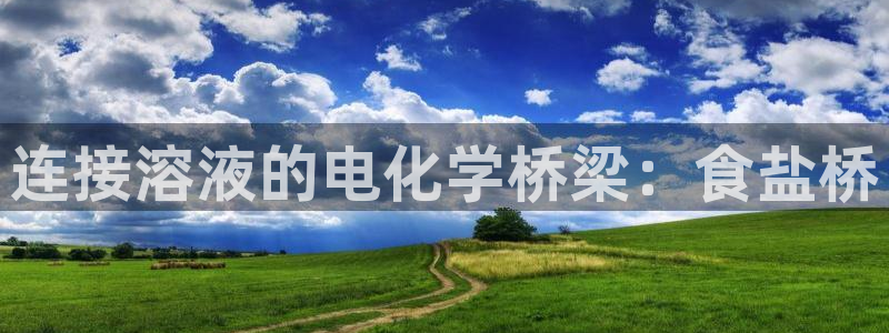威九国际APP大全