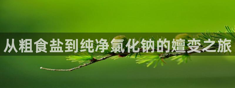 威九国际清砖码