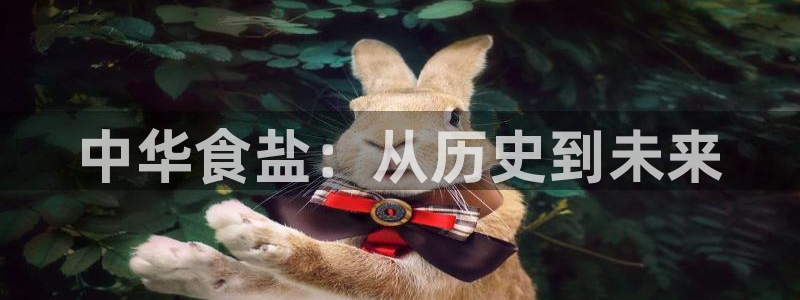 威九国际78mb官网