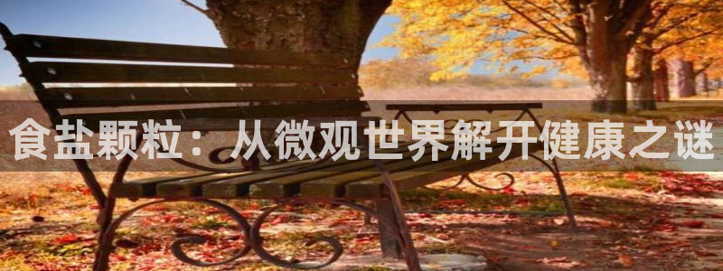 威九国际网站传媒招聘
