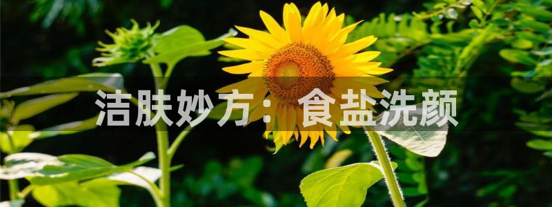 威九国际网站安全吗可靠吗