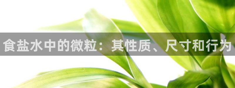 威九国际狂飚电影