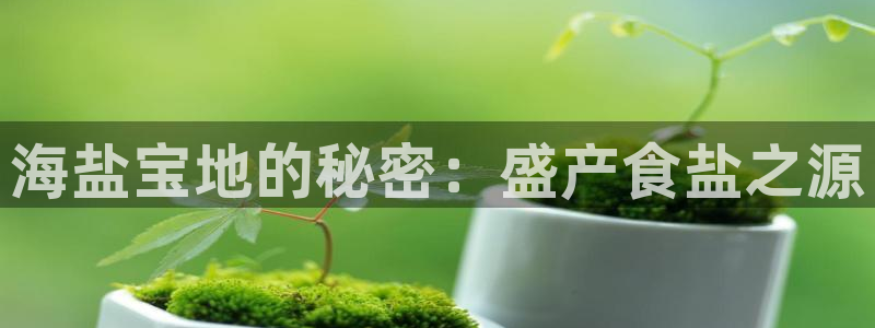 78mapp威九国际官网