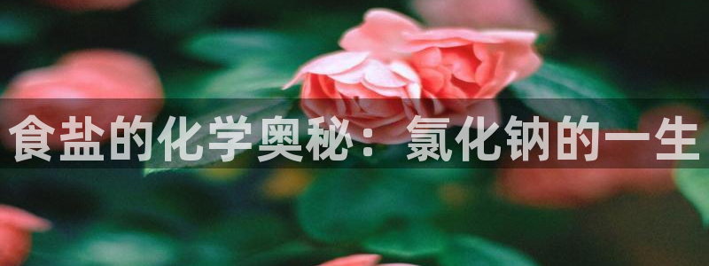 威九国际瘫痪丈夫眼见证