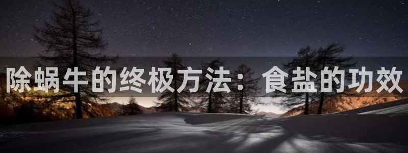 威九国际app入口在哪