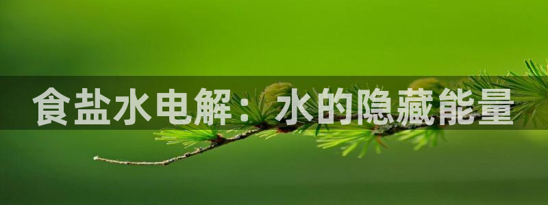 威九国际空降服务怎么样