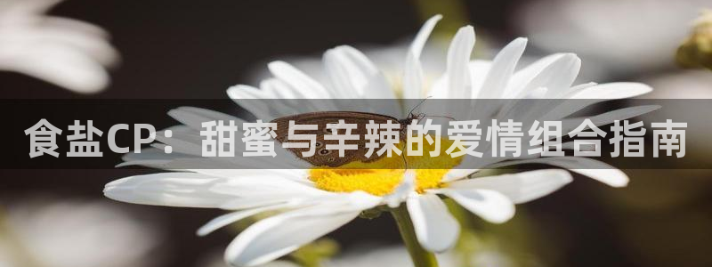 威九国际网站链接怎么打开