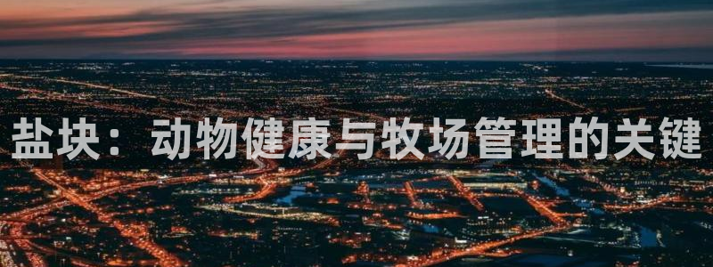 威九国际电子游戏