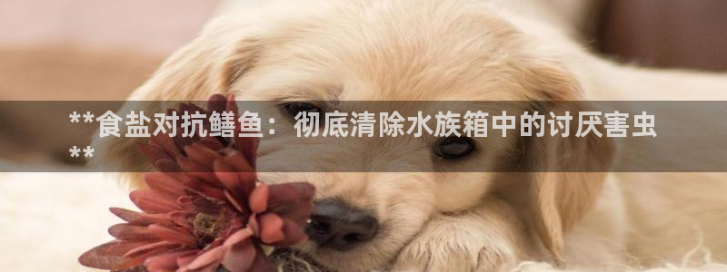 威九国际网站进入产品中心