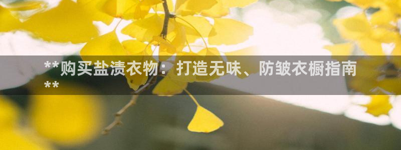威九国际app入口官网