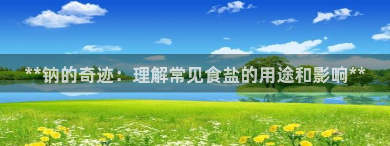 66m威九国际成长模式