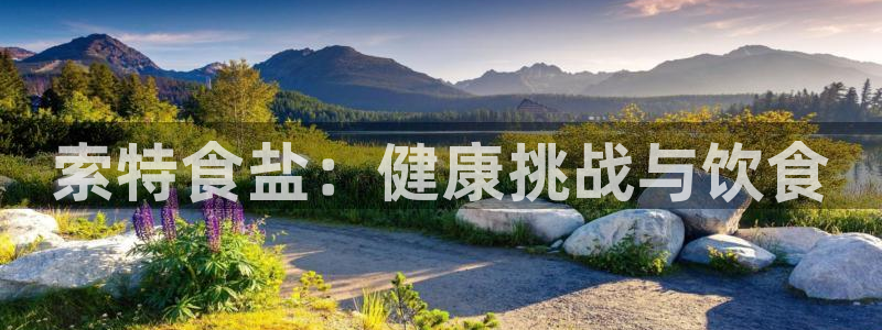 威九国际网站登录