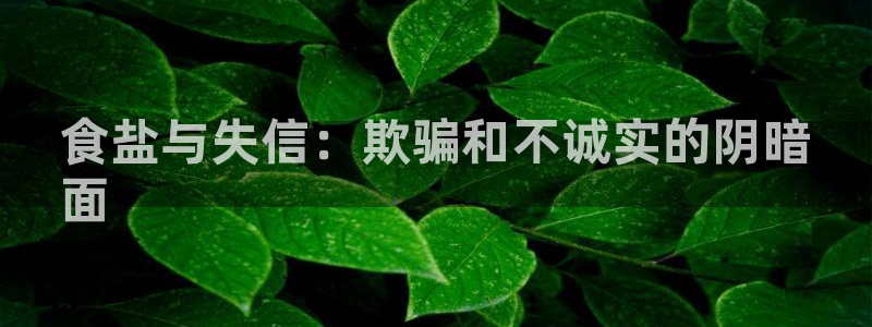 威九国际演员名单