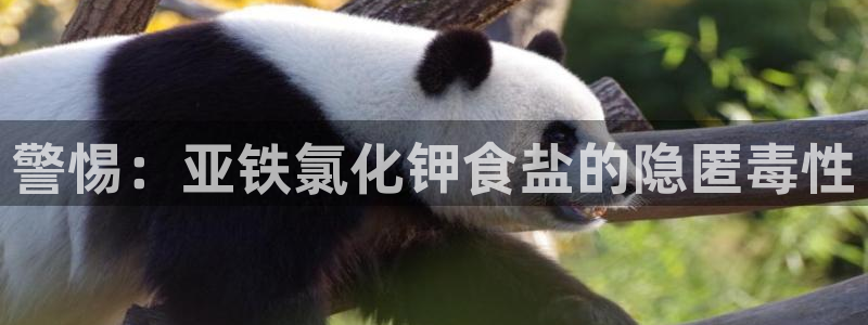 78mapp威九国际最新版