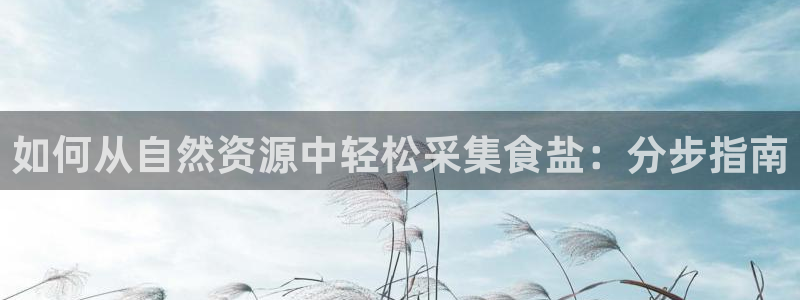 威九国际网站经常打不开怎么办