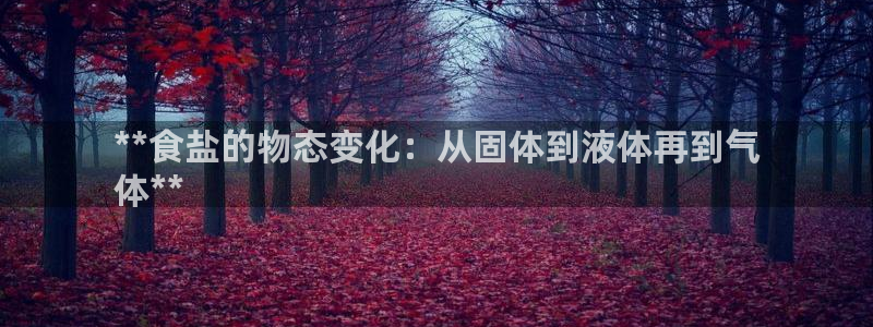 威九国际空降