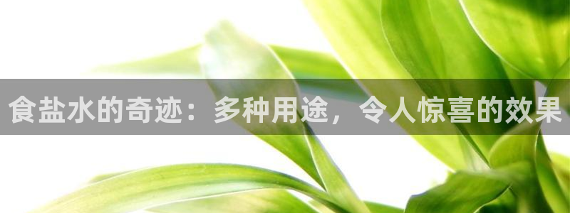 威九国际APP那个地方