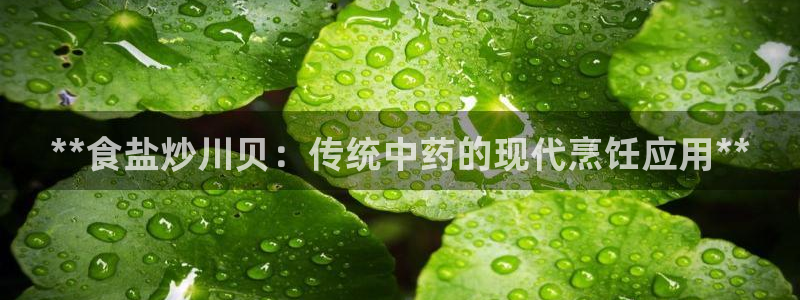 威九国际免费网络站