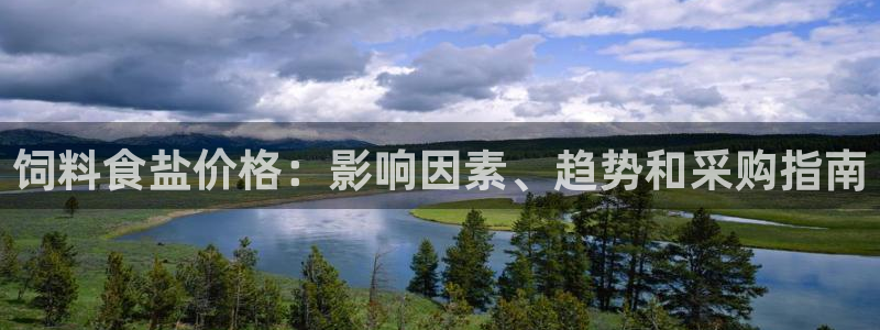 威九国际男主