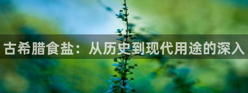 威九国际网站入口rdquo