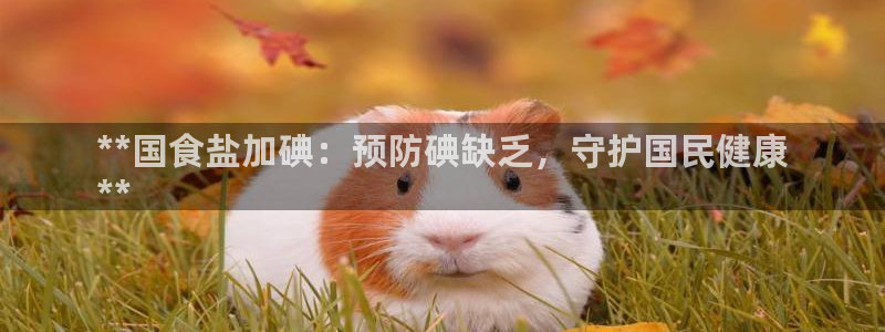 威九国际MM