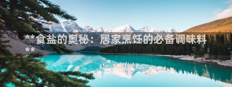 威九国际小说