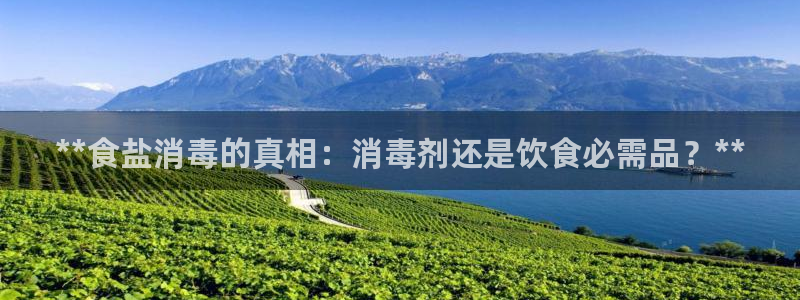 威九国际网站入口地址在哪里