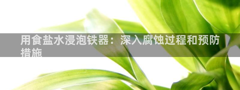 威九国际网站进入公司不断创新