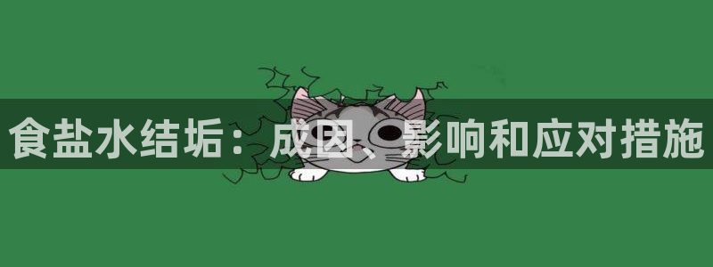 威九国际惠子