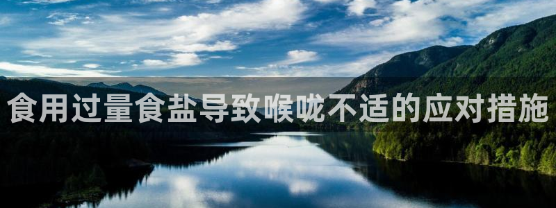 威九国际替好友去