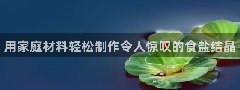威九国际app网站安全吗