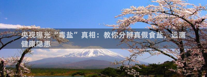 威九国际体育