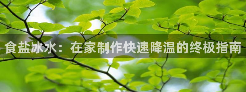 威九国际入囗