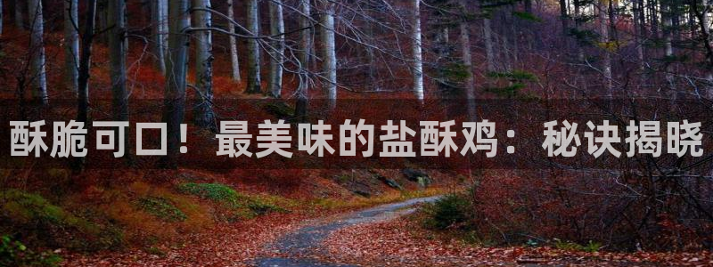 威九国际ppt官网