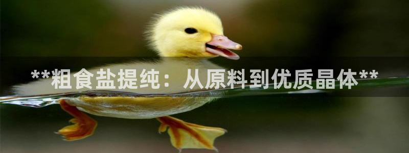 威九国际网站客服电话多少号码