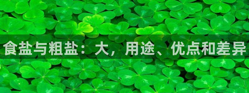 威九国际H