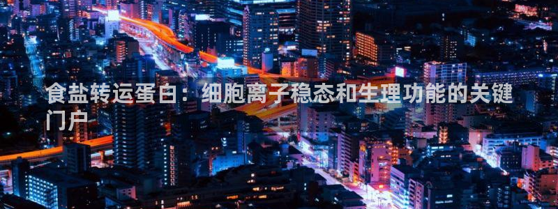 威九国际app哪个地方