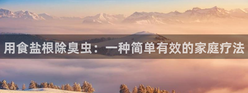 78m.ppt威九国际官网版