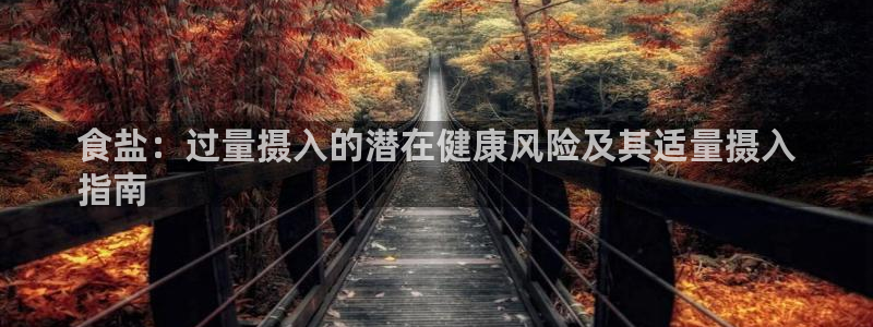 威九国际AN