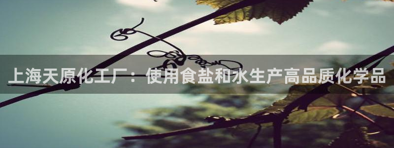 威九国际A
