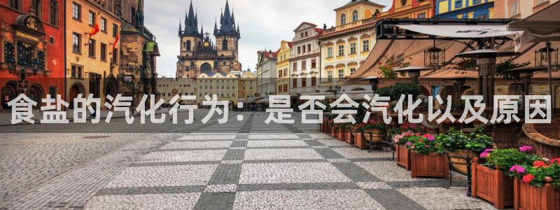 威九国际如何下载